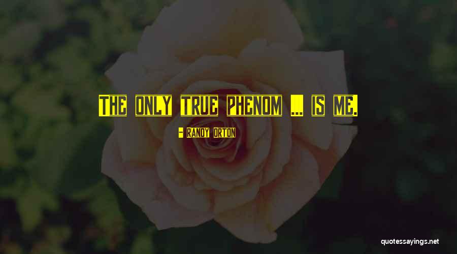 Zufluchtsst Tte Quotes By Randy Orton Zufluchtsst Tte Quotes By Randy Orton