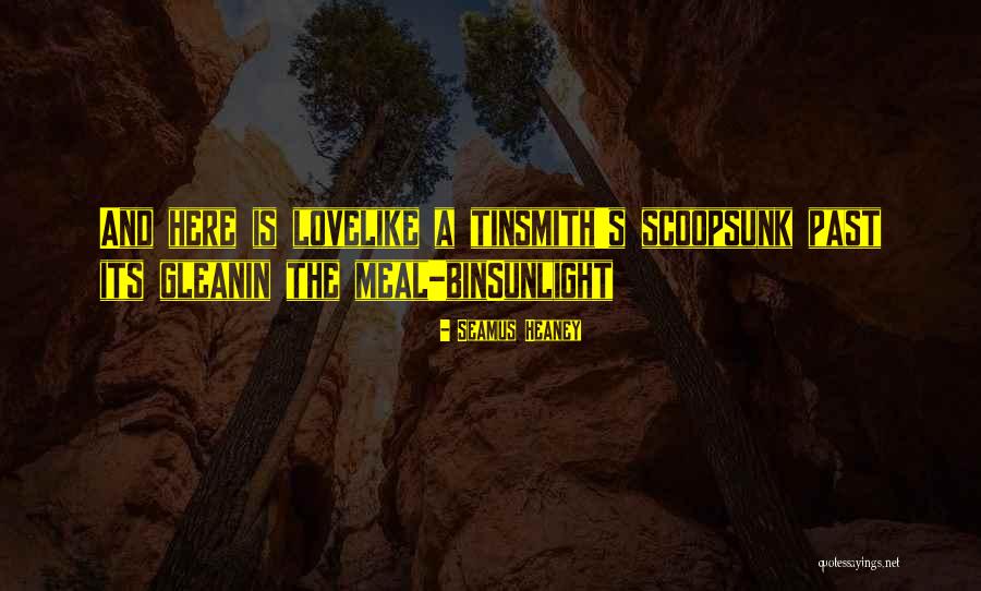 Zuhdi Transplant Quotes By Seamus Heaney Zuhdi Transplant Quotes By Seamus Heaney