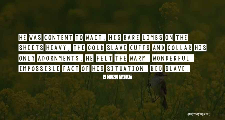 Zuitt Quotes By C.S. Pacat Zuitt Quotes By C.S. Pacat