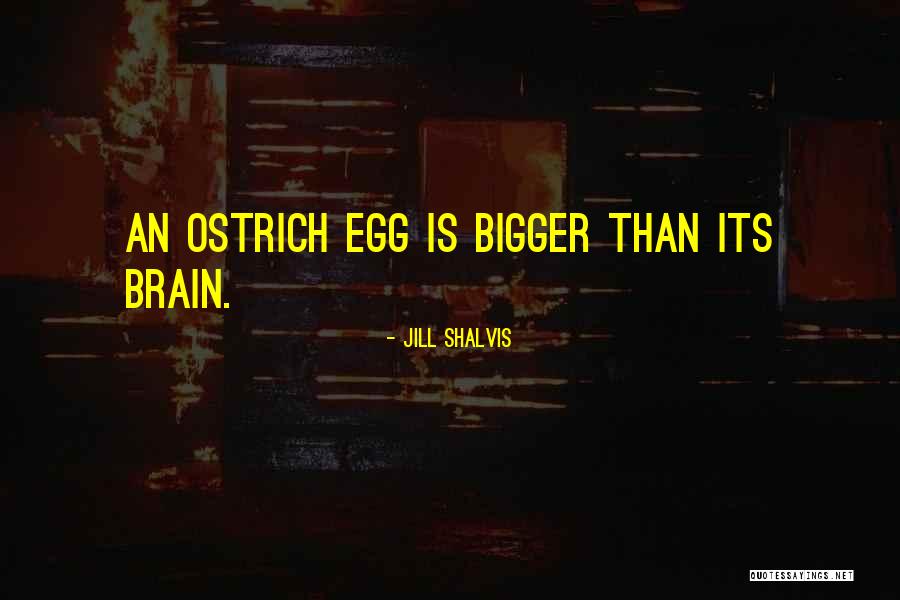 Zuiver Quotes By Jill Shalvis Zuiver Quotes By Jill Shalvis