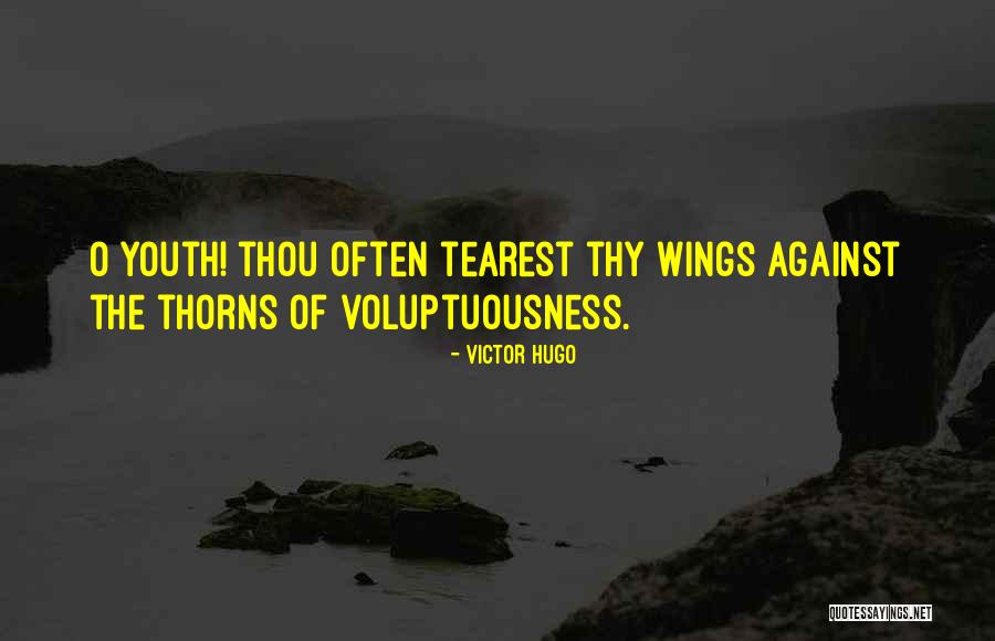 Zullig Capital Partners Quotes By Victor Hugo Zullig Capital Partners Quotes By Victor Hugo