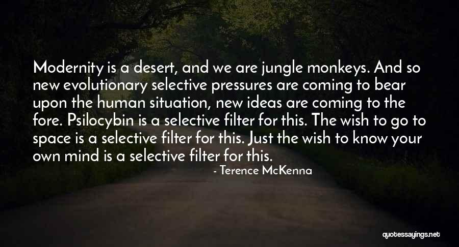 Zulma Aponte Quotes By Terence McKenna Zulma Aponte Quotes By Terence McKenna