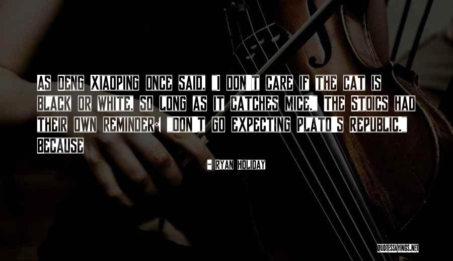 Zuraya Rafique Quotes By Ryan Holiday Zuraya Rafique Quotes By Ryan Holiday
