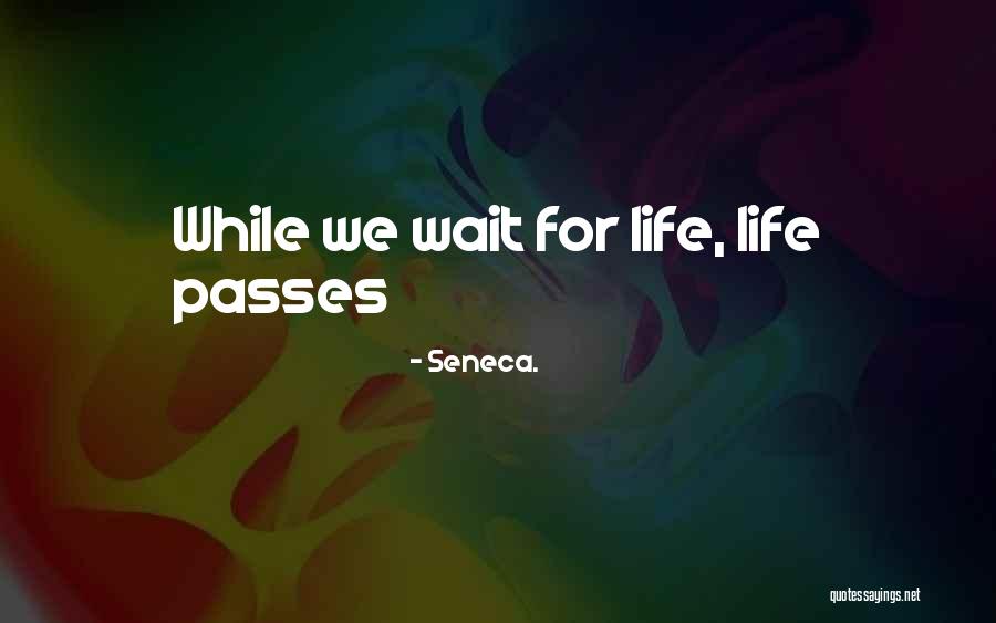 Zurisadai Quotes By Seneca. Zurisadai Quotes By Seneca.