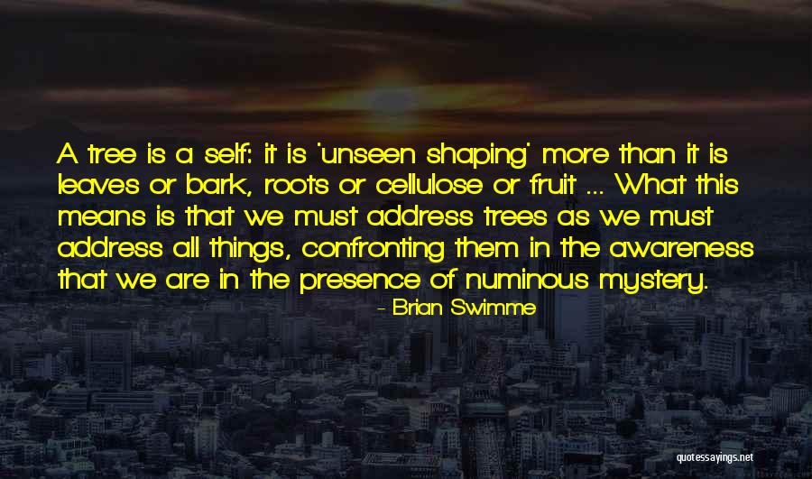 Zurlo Law Quotes By Brian Swimme Zurlo Law Quotes By Brian Swimme
