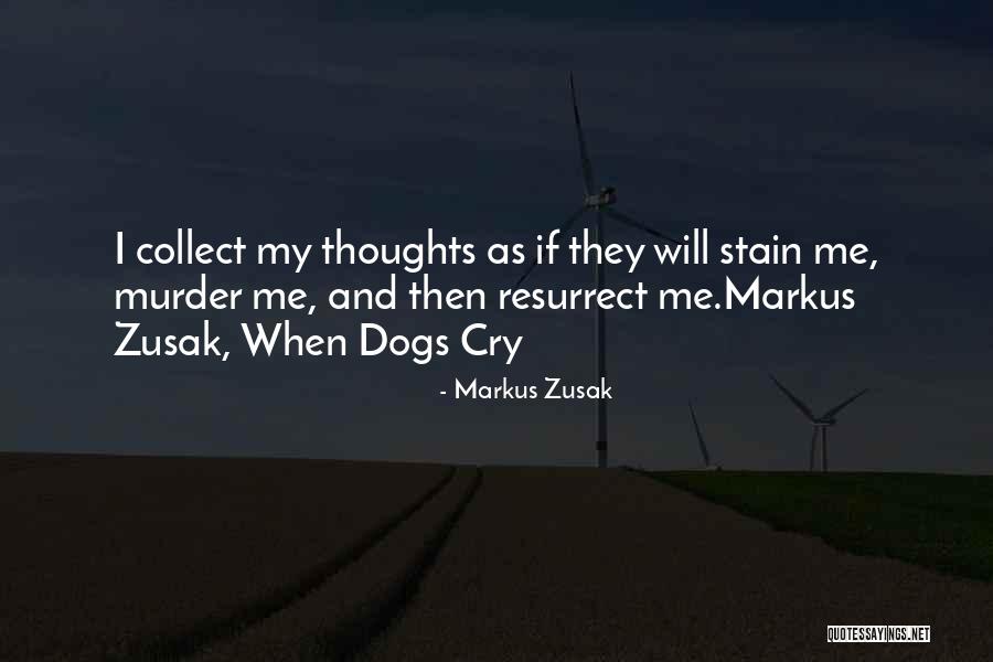 Zusak Writing Quotes By Markus Zusak Zusak Writing Quotes By Markus Zusak