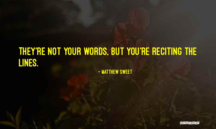 Zuschauerbefragung Quotes By Matthew Sweet Zuschauerbefragung Quotes By Matthew Sweet