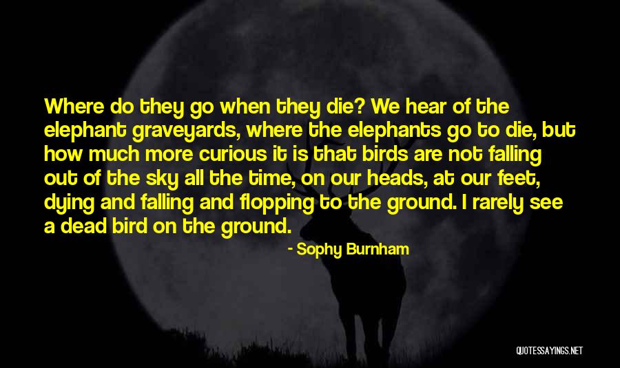 Zutty Associates Quotes By Sophy Burnham Zutty Associates Quotes By Sophy Burnham