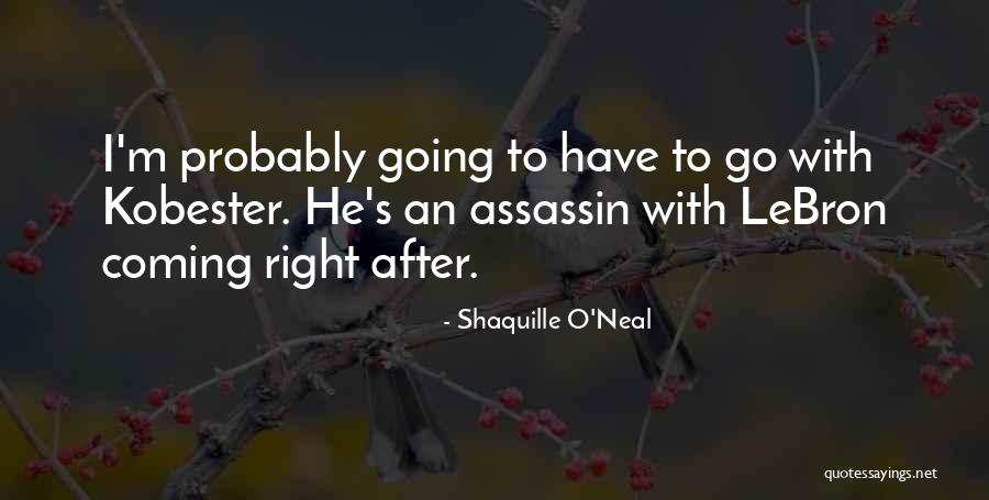 Zvereva Romana Quotes By Shaquille O'Neal Zvereva Romana Quotes By Shaquille O'Neal