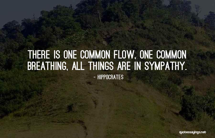 Zvjezdan Quotes By Hippocrates Zvjezdan Quotes By Hippocrates