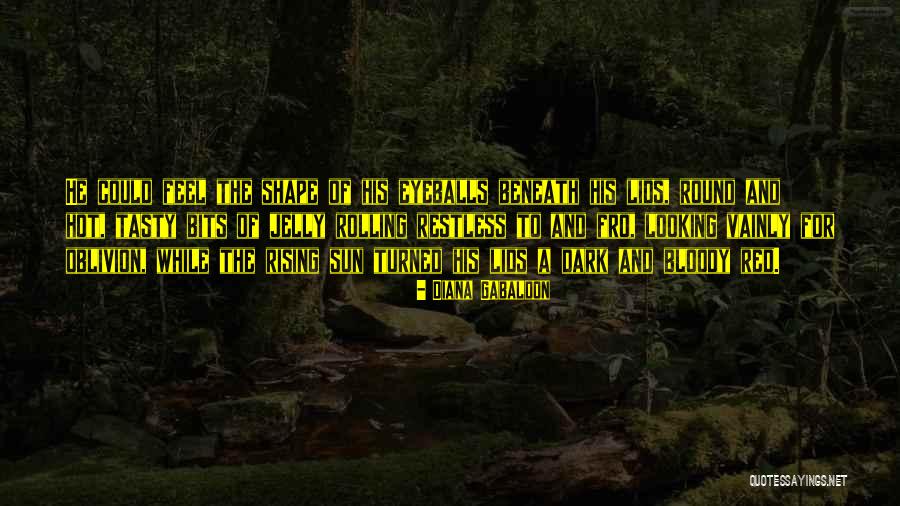 Zvjezdice Quotes By Diana Gabaldon