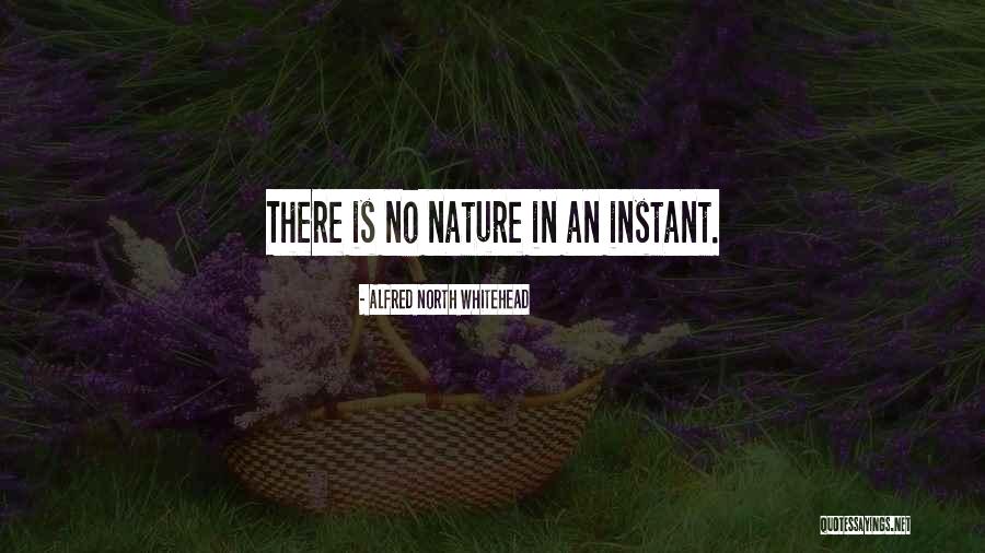 Zvukov Quotes By Alfred North Whitehead Zvukov Quotes By Alfred North Whitehead