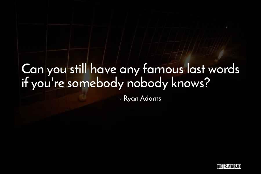Zwaanendael Quotes By Ryan Adams Zwaanendael Quotes By Ryan Adams