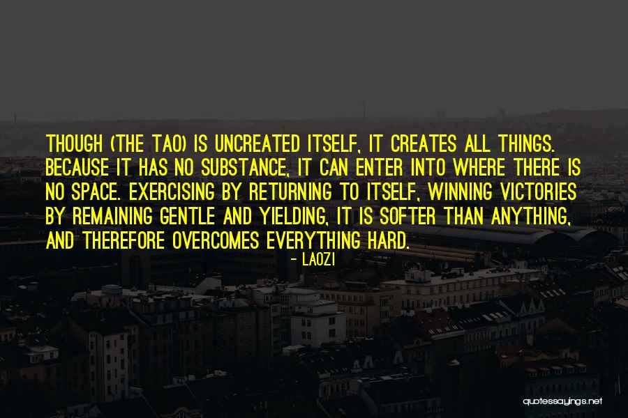 Zwaanhof Quotes By Laozi Zwaanhof Quotes By Laozi