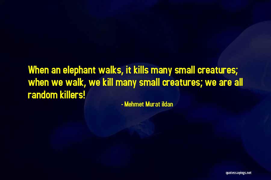 Zwaluwnest Quotes By Mehmet Murat Ildan Zwaluwnest Quotes By Mehmet Murat Ildan
