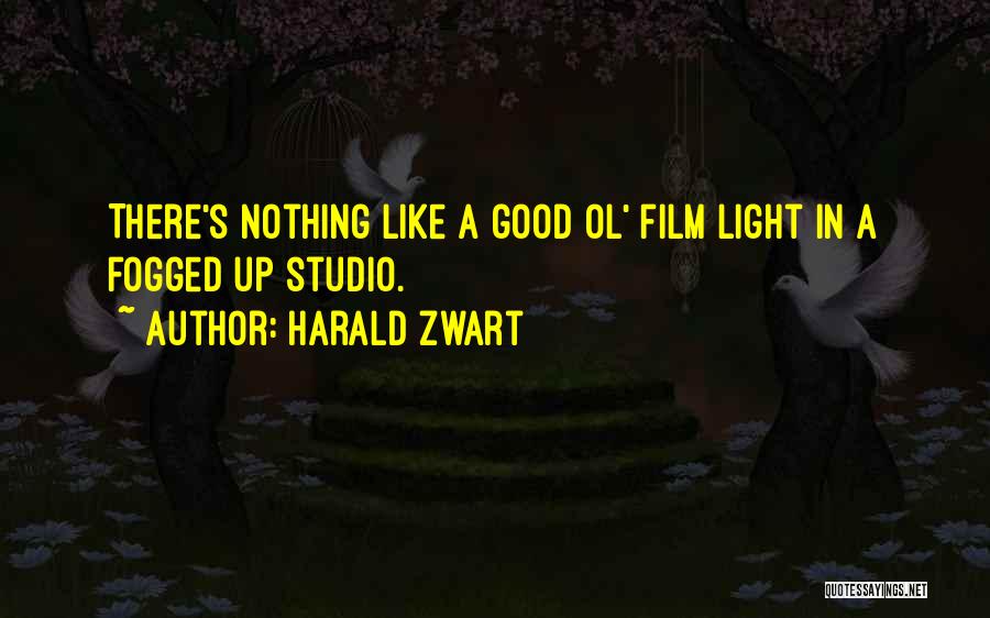 Zwart Quotes By Harald Zwart