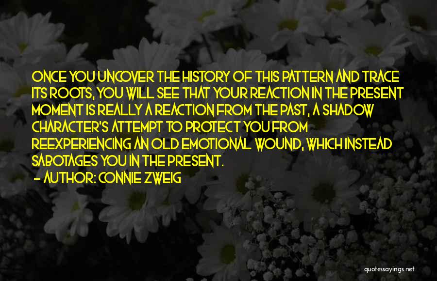 Zweig Quotes By Connie Zweig