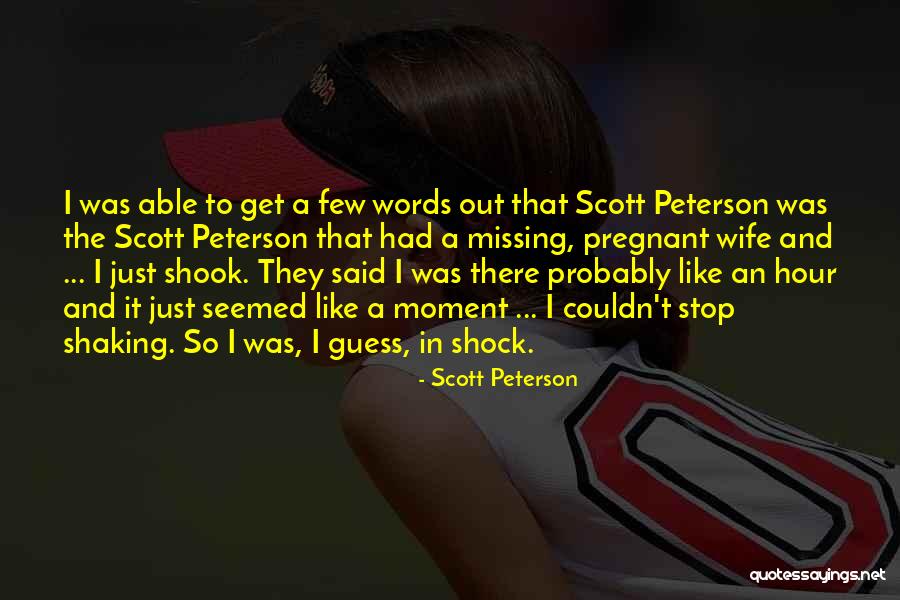 Zwergenstadt Quotes By Scott Peterson Zwergenstadt Quotes By Scott Peterson