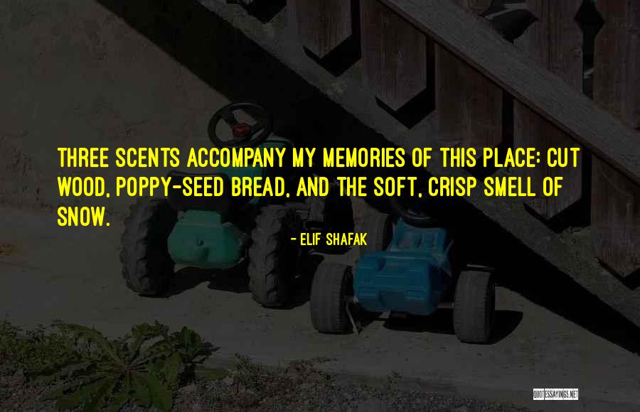 Zwiebelfleisch Quotes By Elif Shafak Zwiebelfleisch Quotes By Elif Shafak