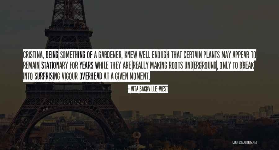 Zyanya Aguilar Quotes By Vita Sackville-West Zyanya Aguilar Quotes By Vita Sackville-West