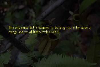 Avaunt Magazine Quotes