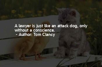 Best Funny Lawyer Quotes