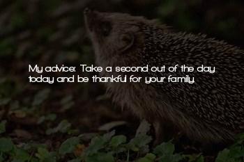 Dimenticare Italian Quotes