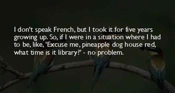 French Dog Quotes