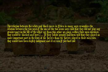Ill Never Hurt You Quotes