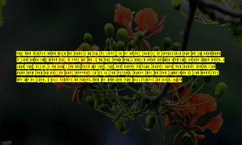 No Matter What I Am Here For You Quotes