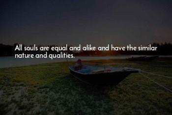 Quotes About Similar Souls