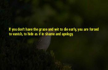 Vanish Quotes